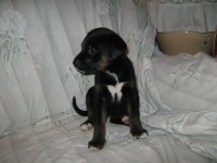 /album/associane-amici-miei/io-054-jpg/